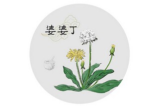 经典花诗句座右铭（带花的座右铭）