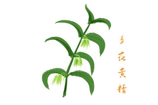 唐诗作文500字（写唐诗的作文）