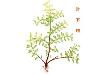 工厂考勤管理制度范本_工厂考勤管理制度范本最新