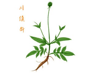学校开展阳光体育活动总结（学校阳光体育活动的小结）