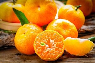 家乡的日出作文_家乡的日出作文初二