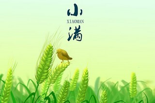 元旦节主题温暖文案（元旦温柔文案）