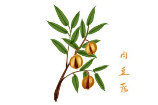 2025开学第一课主题活动优秀征文_2o2o年开学第一课作文1000字