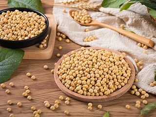 清明祭英烈简报（清明祭英烈宣传报道）