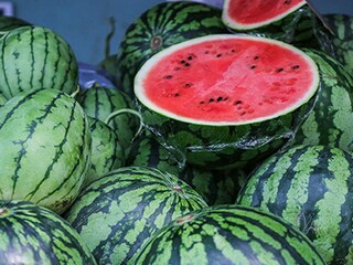 爱国诗句有哪些（林则徐爱国诗句有哪些）