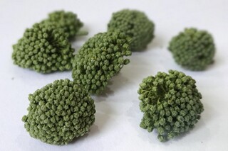 工作时间的证明（工作时间证明模板怎么写范文）