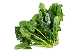 学生会生活部期末工作总结_学生会生活部年度总结报告范文大全