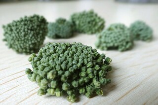 诗经·采薇全文（诗经采薇全文拼音版）