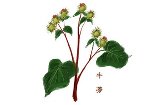 现代诗歌阅读_现代诗歌阅读方法总结思维导图