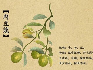 欧阳修诗词《梦中作·夜凉吹笛千山月》（夜凉吹笛千山月的下一句）