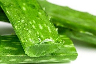 我眼中的冬天作文（作文冬天600字）