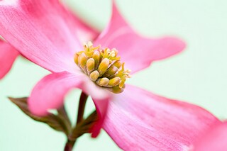 服装销售年度总结_服装销售年度总结及明年工作计划