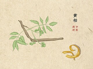《年》的作文500字（《年》作文600字）