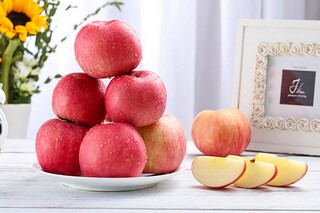 小学生五年级必背古诗词（小学生五年级必背古诗词上册）