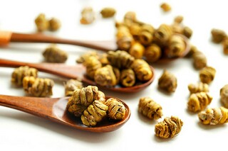 春天的古诗词欣赏（春天古诗词大全）