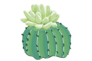 对朋友依依不舍的诗句（表达对朋友依依不舍的诗）