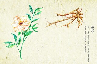 中学生百年追梦全面小康征文（百年追梦全面小康征文1000字记叙文）