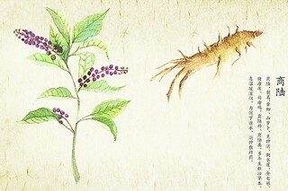 幼儿园母亲节文案_幼儿园母亲节文案怎么写