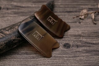 良好的习惯作文