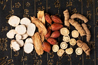 春节故乡的作文