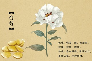小学语文课文《风筝》优秀教学设计_《风筝》的教学设计