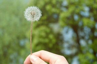 西门豹教案_西门豹教学目标