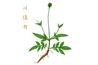 假如爱有天意的作文（假如爱有天意的作文怎么写）