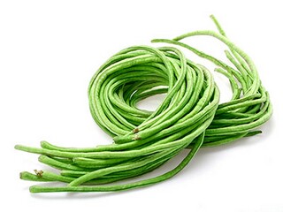 燕子的经典诗句（关于燕子的经典诗句）