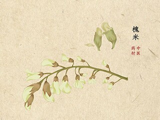 校长作文500字