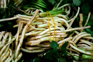 美在其中作文600字_美在其中作文五百字