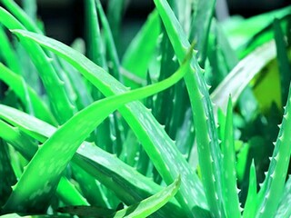 合同管理员年终总结_合同管理人员工作总结