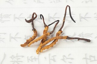 描写和赞美冰雪大世界的诗句（赞美冰雪大世界一句话）