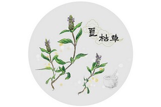 妈妈对我的爱作文参考_妈妈对我的爱作文新颖