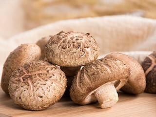 多彩的活动小学作文