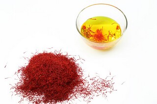 巴金家读书笔记（巴金家读书笔记500字）