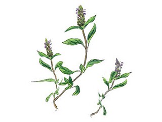 备注的解释及造句_备注怎么造句