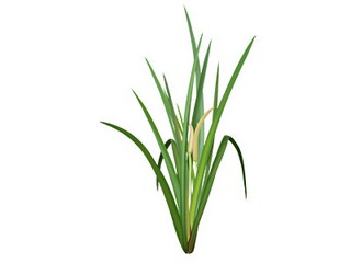 人生努力奋斗句子_人生努力的简短句子