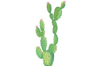 感恩节的朋友圈说说（感恩节的朋友圈说说文案）