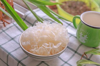 寒假创意作业倡议书（创意寒假作业征集方案）