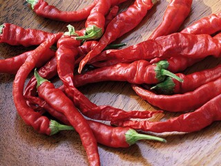 妈妈的爱-抒情作文（妈妈的爱这篇作文怎么写_）