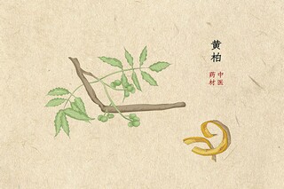 余光中 乡愁赏析（余光中乡愁的解读）