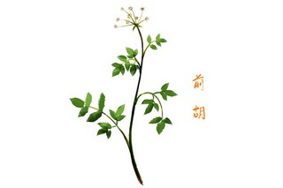 冬天的优秀小学生作文（关于冬天的小学生优秀作文）