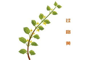 描写中秋节月亮的诗句（描写中秋节月亮的诗句小学生）