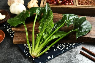 父亲节的优美句子_父亲节的优美句子简短